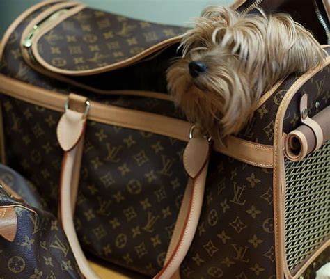 bolso perro louis vuitton|Dog Bag Monogram .